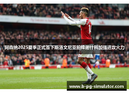 阿森纳2025夏季正式签下斯洛文尼亚前锋谢什科加强进攻火力